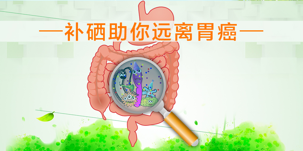 多補硒可降低萎縮性胃炎癌變的機率嗎？