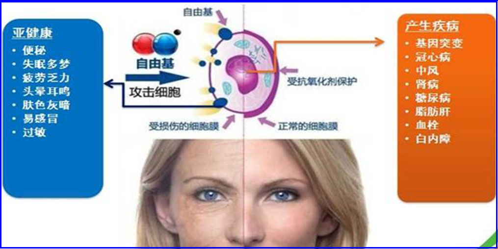 自由基是“百病之源”？硒元素可清除自由基