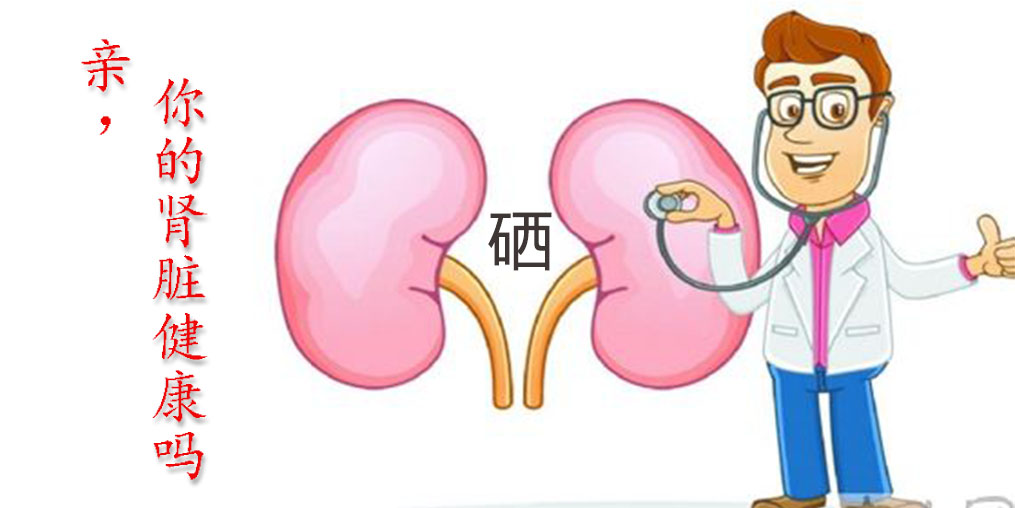 世界腎臟日|關愛腎臟健康，從補硒開始