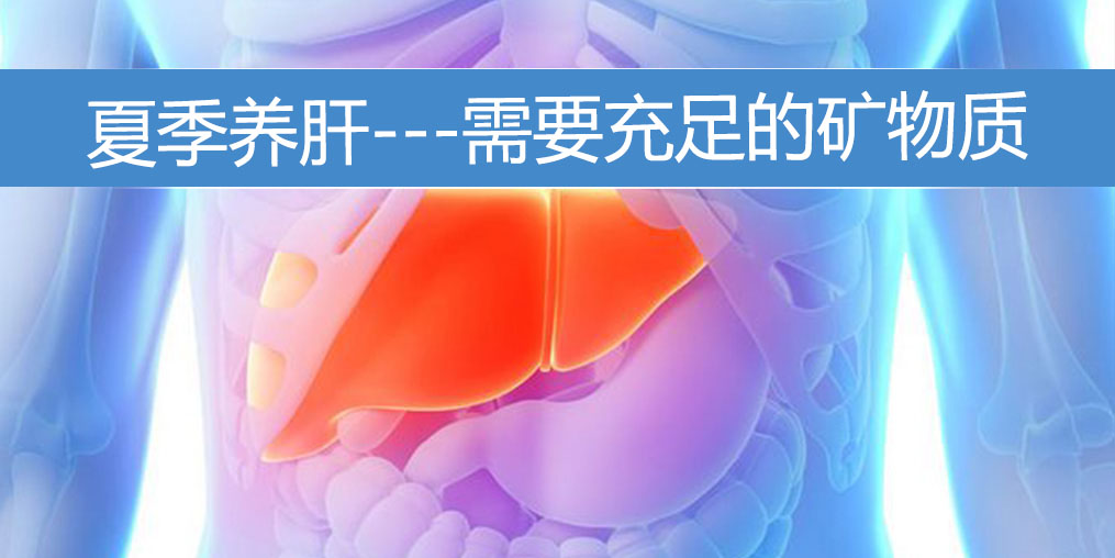 夏季養(yǎng)肝需要充足的礦物質(zhì)，保護(hù)肝功能