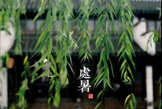 處暑養(yǎng)生小常識，謹(jǐn)記滋陰潤肺防秋燥