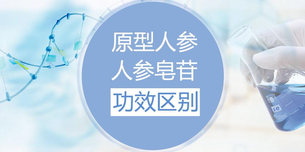人參和人參皂苷的功效區(qū)別在哪里？