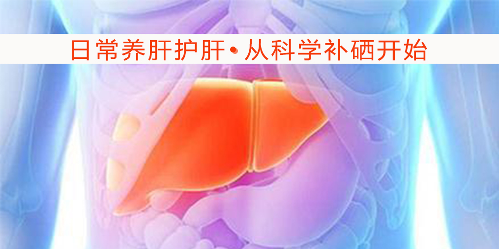   秋季保護肝臟健康，離不開微量元素硒的保護