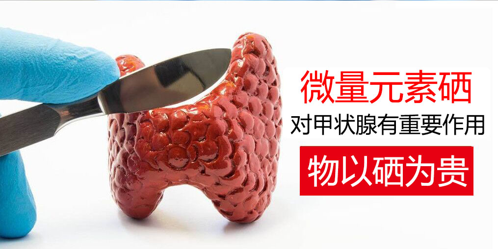 物以“硒”為貴，甲狀腺疾病能適當(dāng)補(bǔ)硒嗎？