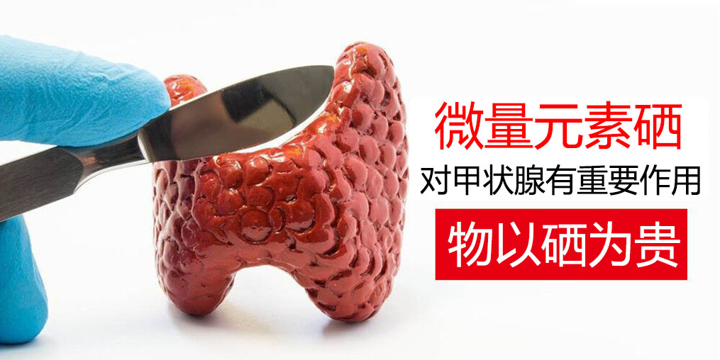 物以“硒”為貴，甲狀腺疾病能適當(dāng)補(bǔ)硒嗎？