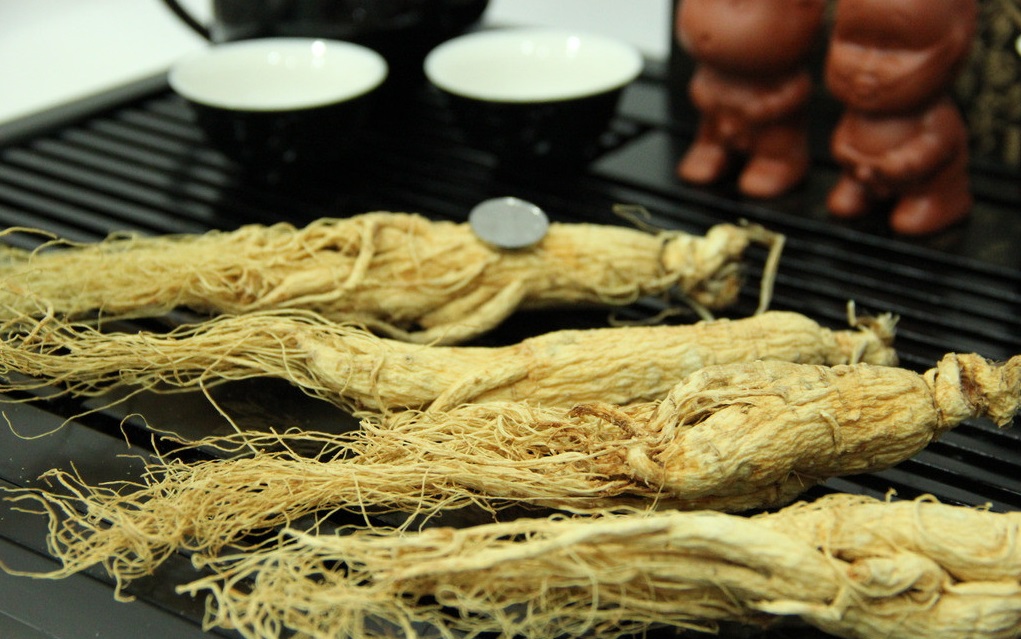 什么是人參皂苷？它對人體的健康有哪些功效？