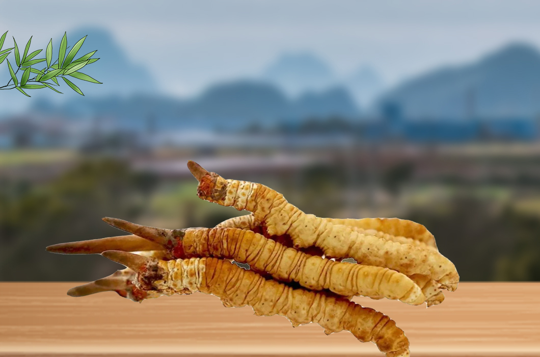冬蟲夏草和腎病還有什么關(guān)系嗎？