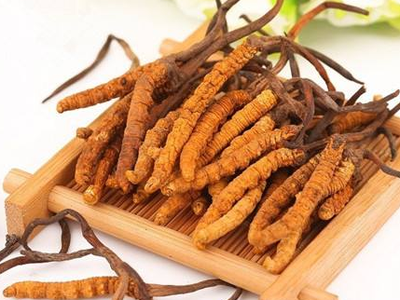蟲(chóng)草素？冬蟲(chóng)夏草里的蟲(chóng)草素是什么？