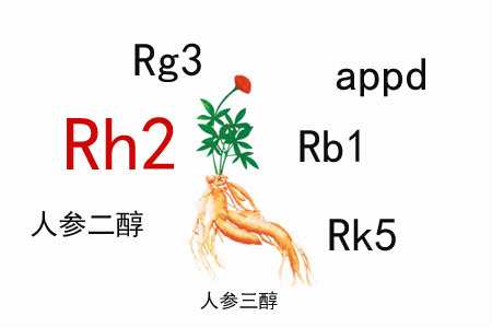 化療常見副作用有哪些？