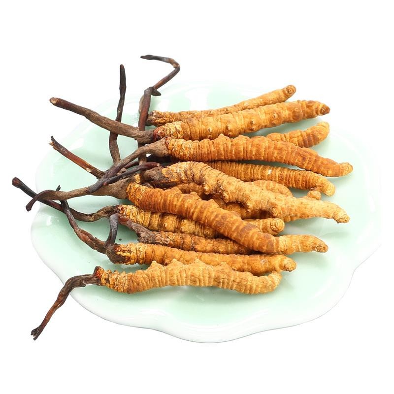 冬蟲(chóng)夏草中的蟲(chóng)草素的主要作用是什么？
