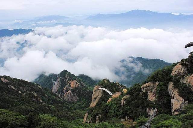 大別山的靈芝孢子粉為什么好？