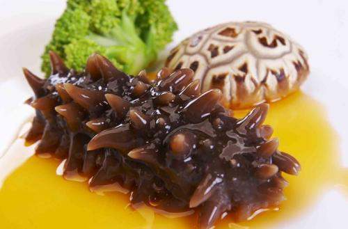 關(guān)于海參的冷知識(shí)，您知道嗎？