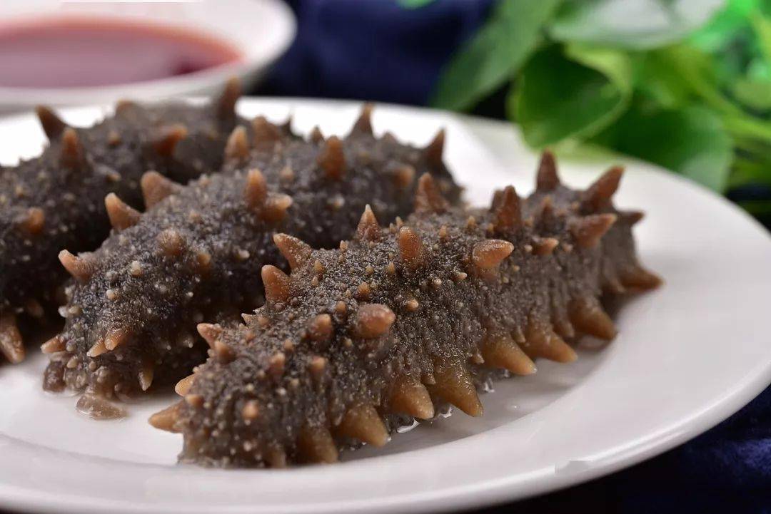 夏季能不能吃海參滋補(bǔ)身體呢？
