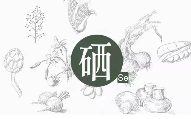 硒的幾種分類，你補(bǔ)對(duì)了嗎？